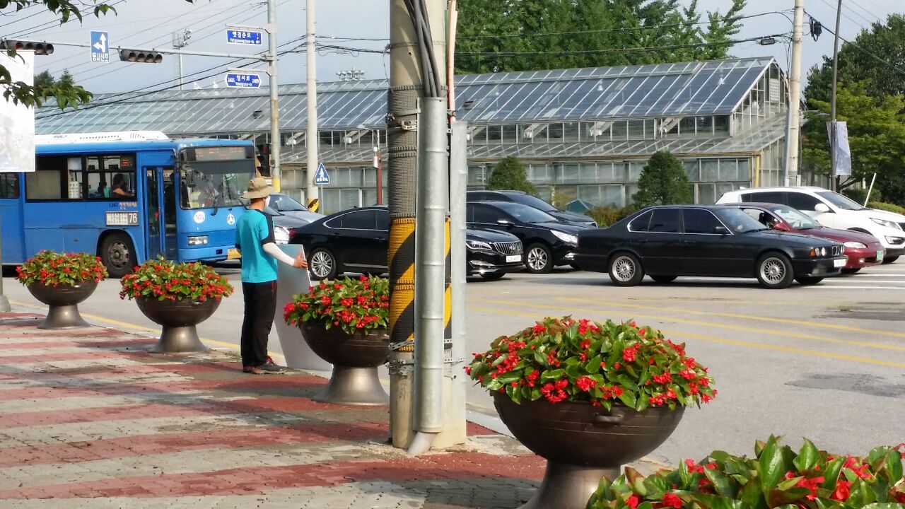 IMG_20150804_120744.jpg